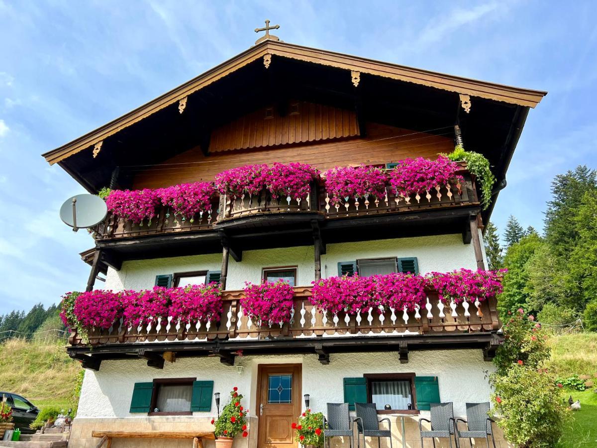 Appartement Sunnseit - Kitzbueheler Alpen Sankt Johann in Tirol Exterior photo